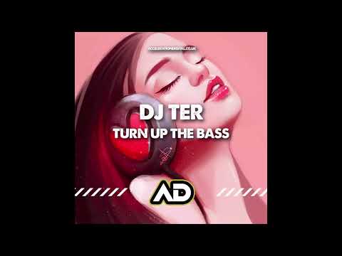 Dj Ter - Turn up the bass
