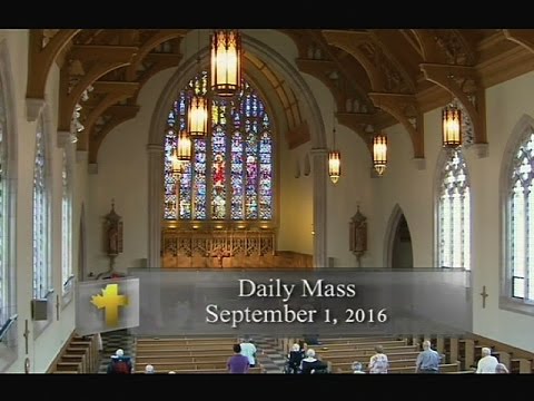 Daily Mass, Thursday 1 September 2016