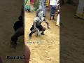 Trendingshorts Dance Karakattam Shortsdance