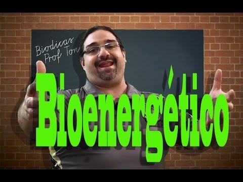 Biodicas: Bioenergética