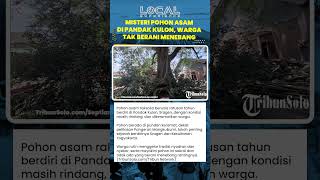 Tak Ada yang Berani Menebang, Pohon Asam Ini Diyakini Penuh Aura Mistis