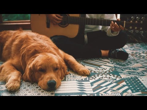 Về Phía Mưa | Thế Bảo | Bun & Orin Cover