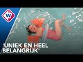 Speciaal zwembad voor zwaar gehandicapte kinderen - OMROEP WEST