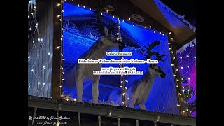 Galerie Fotoserie Rüdesheimer Weihnachtsmarkt der Nationen Hessen