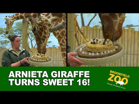 Arnieta Celebrates Sweet 16