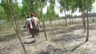 preview picture of video 'Sundarganj | সুন্দরগঞ্জ ভ্রমনের অভিজ্ঞতা নিয়ে 'আমান্ডা ফার্নানডিনোর' একটি অসাধারণ ভিডিও'