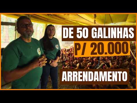 COMEÇAMOS COM 50 GALINHAS POEDEIRAS E ARRENDAMOS UMA ÁREA PARA 20.000 AVES