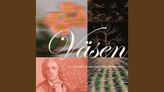 Music video thumbnail preview for Linnæus Långdans / Kör i Lunken by Väsen