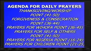 WIHOFA CITY Live Stream