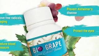 Download lagu Review Bio Grape seed mengontrol gula darah// Harga Bio Grape seed asli original mp3 Download lagu Review Bio Grape seed mengontrol gula darah// Harga Bio Grape seed asli original mp3