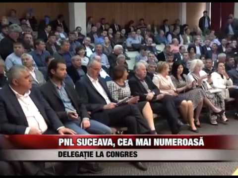 PNL Suceava, cea mai numeroasă delegaţie la Congres