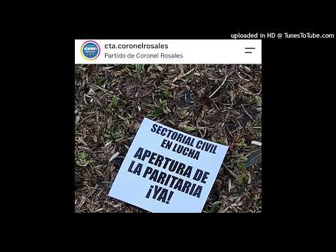 TRASLADO ARBITRARIO DE DELEGADO DE ATE EN CNEL  ROSALES.EXCLUYEN A ATE DE PARITARIA LOCAL
