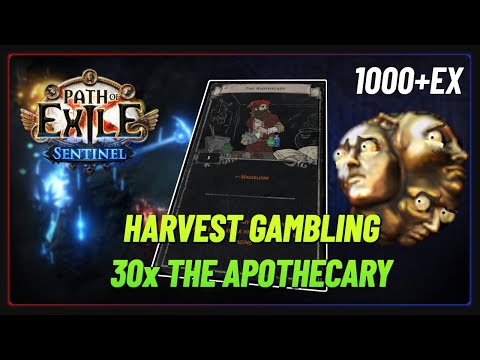 PoE 3.18 - 1000ex Apothecary Card Gamble