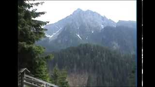 preview picture of video 'Wandern in Südtirol 2010 - Klammeben - Videgg - Verdinser Waal.wmv'