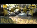 TU AMANTE O TU ENEMIGO - Miguel Gallardo Karaoke