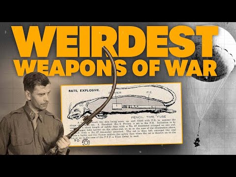 Bat Bombs And EXPLODING Rats💥: Were These The Craziest Weapons of WWII?