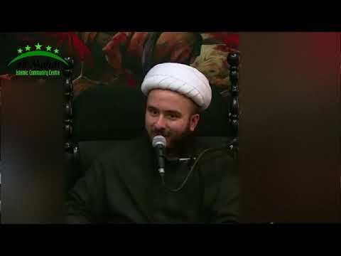 ⁣The narration of Thaqalayn confirms the Imamate of Ahlul Bait (pbut)- Hamam Nassereddine