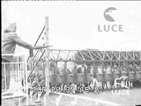 DERBY ITALIANO DEL GALOPPO 1975 ORANGE BAY