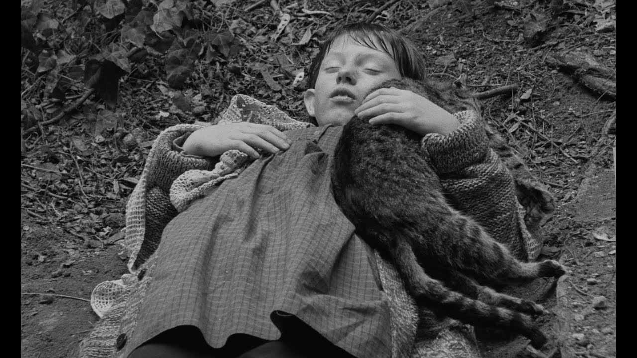 Trailer för Satantango