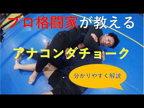 【ガードポジション】MMA総合格闘技・レスリング・柔術～アナコンダチョーク～
