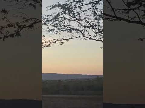 Carneiros-Al  várzea da Esteira