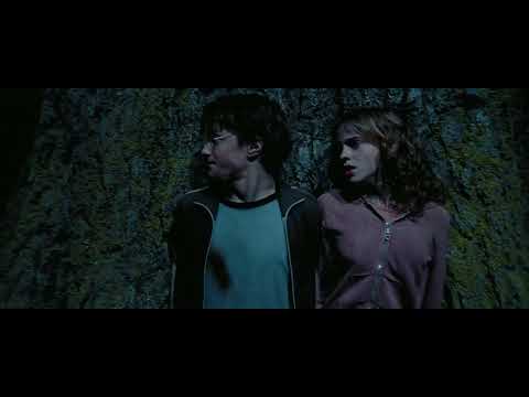 Harry Potter And The Prisoner Of Azkaban - Buckbeak Saved Harry And Hermione