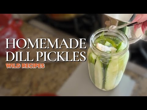 We Made 20 Jars of Dill Pickles in One Morning | The Mellon Patch | Wild Recipes