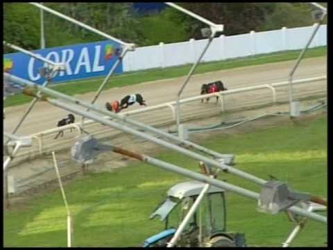 2017 CORAL SUSSEX CUP - 2ND SEMI - T6 DONATION