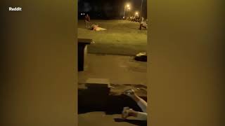 YouTube video