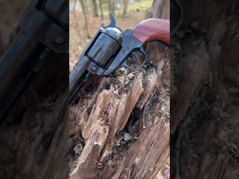 Heritage single action army replica (.357 mag)