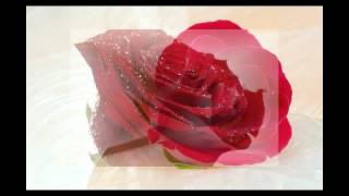 Simply Red -- I have the love