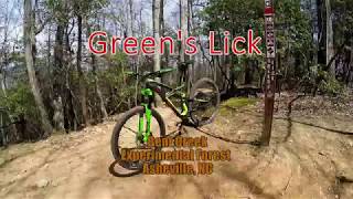 Green's Lick - Bent Creek Experimental Forest - Asheville, NC