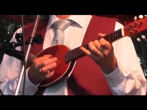 Kikindai Kurunci Zenekar a felgyői I. lakodalmas fesztiválon - 2014.09..06