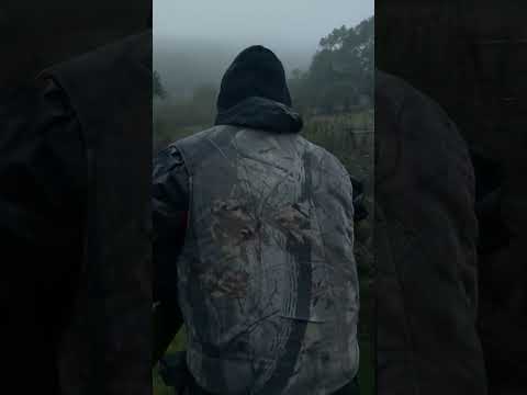 Hog Hunting California