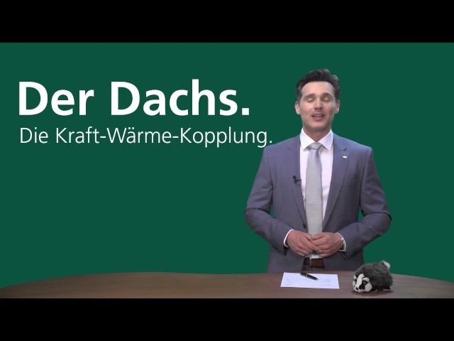 Dachs Berater