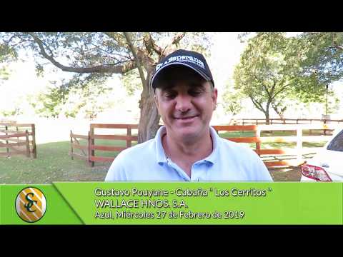 27-02-19 - Gustavo Pouyane - Cabaña Los Cerritos  - Wallace Hnos. S.A. - Azul