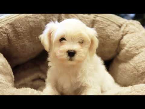 Igor Garnier & DJ Takoma feat. Tina Carter - A Place We Call Our Own