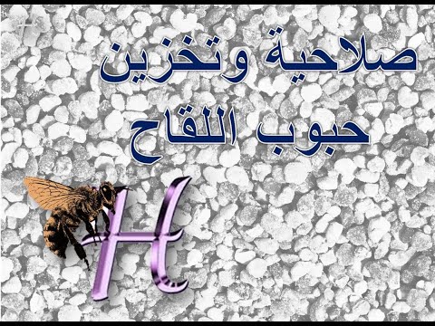 , title : 'صلاحية وتخزين حبوب اللقاح - د. حسام أبوشعرة'