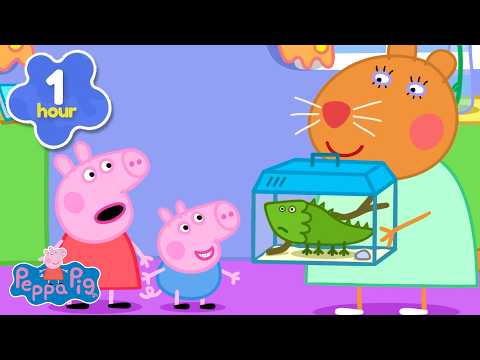 ???? Doktor Křeček a dobrodružství s želvou! | Prasátko Peppa | Karikatury pro děti