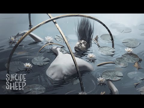 Koste - ROLLERCOASTER