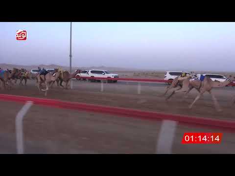 ش 4 (سلهود) لـ محمد حمد بن مضحيه العامري 3:13:03 ، شارة الصندوق 2026/08/28 فطامين الوقن