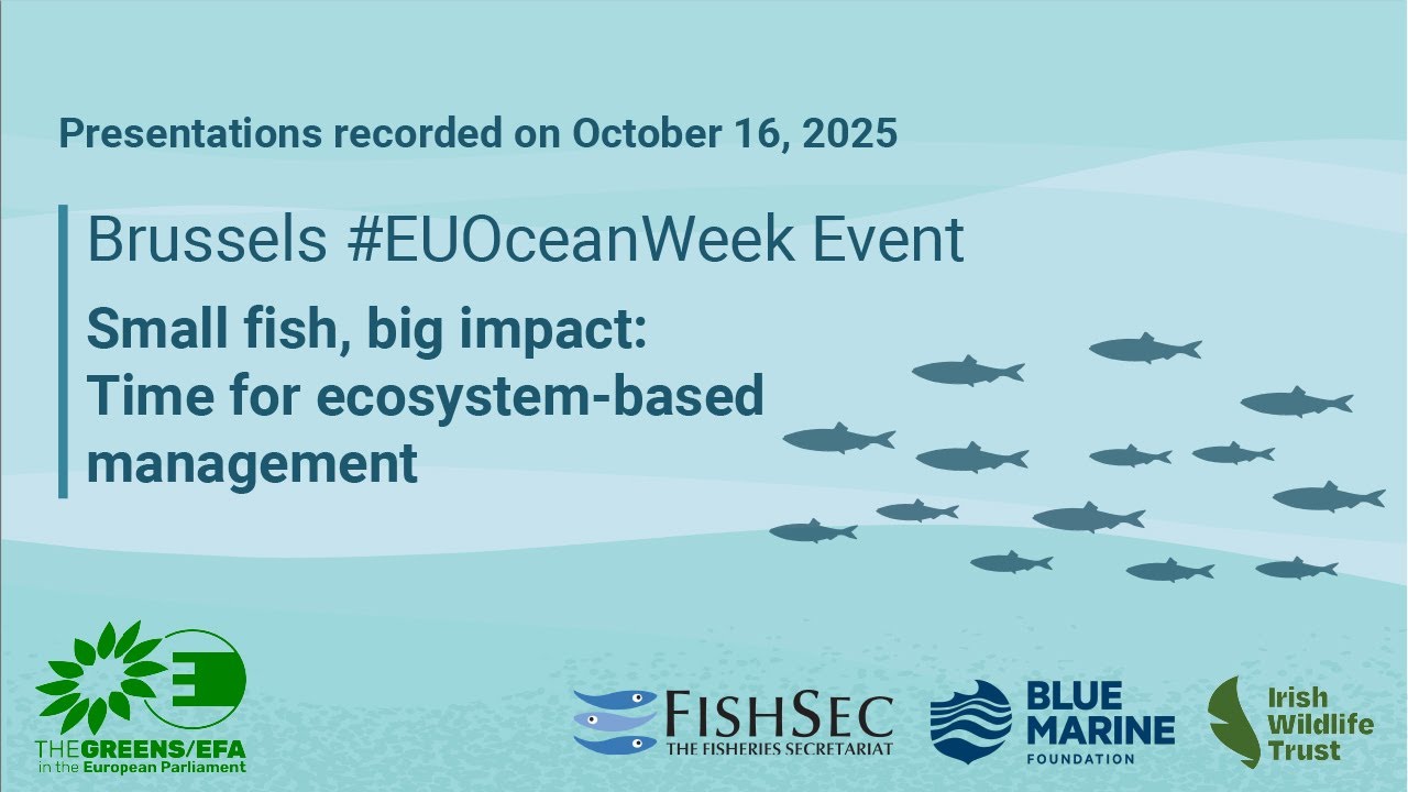 Small fish big impact: time for ecosystem-based management