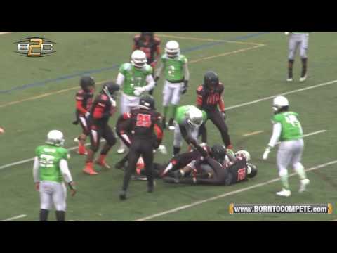 B2C Champ Series: (11U) ATL Ducks Elite vs NH Tigers