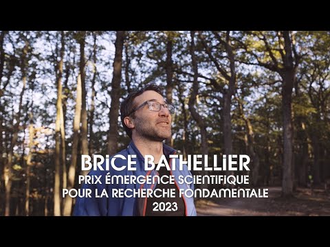 Brice Bathellier - Lauréat du Prix Émergence Scientifique pour la recherche fondamentale 2023