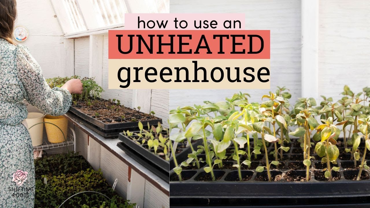 Everything You’ve Wanted to Know About Using An Unheated Greenhouse
