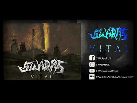 SWARMS - VITAL