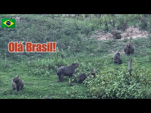 We entered BRAZIL | Cycling from Chuí to Rio Grande | Cycling South America E20
