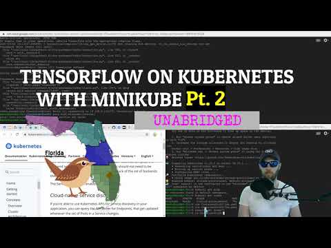 Running TensorFlow on Kubernetes with minikube, Pt. 2 - FL Bird Model UNABRIDGED