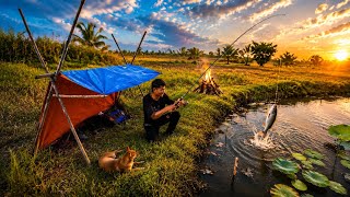 Setting up tents for camping by the lotus pond | Catch &amp; cook