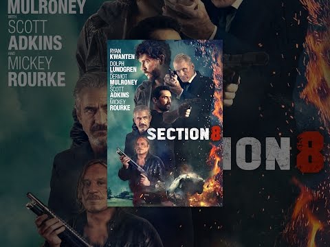 Section 8